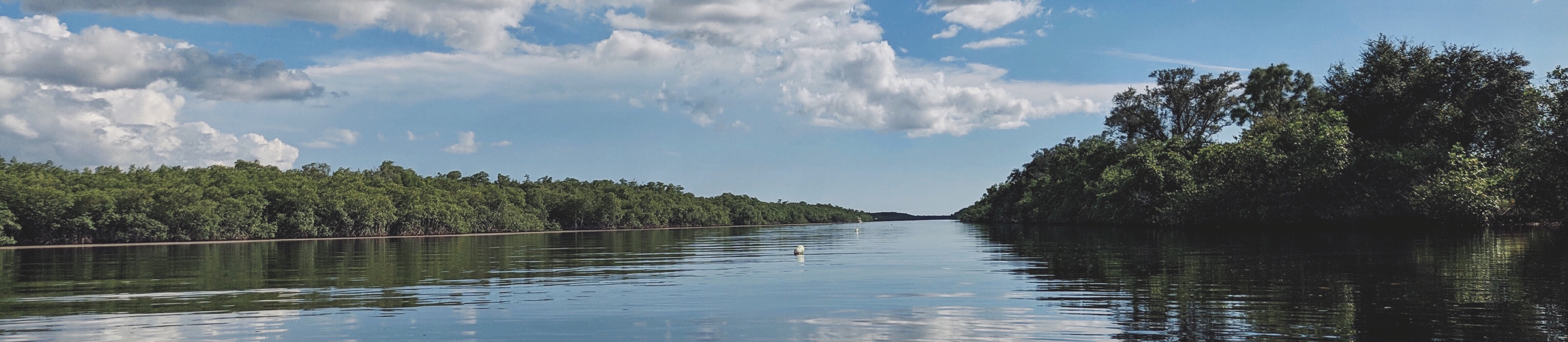 A kayaking trip to Ten Thousand Islands, Florida